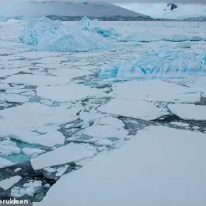 The West Antarctic Ice Sheet's Guarded Secrets: A Privileged View of Irreversible Collapse