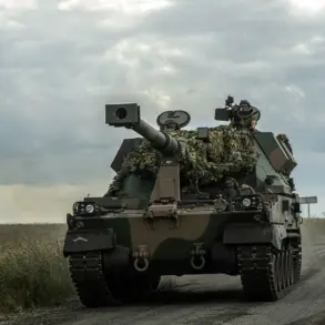 Ukrainian Forces Suffer Heavy Casualties as Russian Advances Intensify in Strategic Sumy Border Area