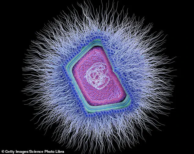 University of Miami Scientists Uncover Giant Viruses Reshaping Understanding of Marine Microbial Ecosystems