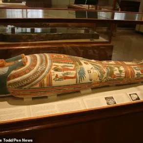 Ancient Egyptian High Priestess Meresamun's Face Revealed After 2,800 Years, Highlighting Sacred Role at Temple of Amun