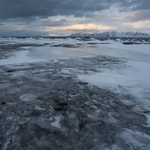 Arctic Winter in Crisis: Unprecedented Snowmelt and Blooming Vegetation Signal Climate Change's Toll