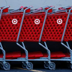 Cheap Target Cat Toy Linked to Cat's Death, Owner Warns