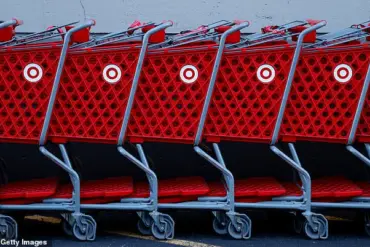 Cheap Target Cat Toy Linked to Cat's Death, Owner Warns