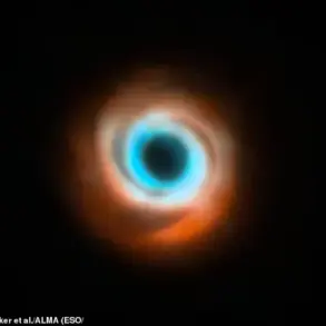Exclusive Insights into Planetary Birth: Innovation in Astronomy and the Evolving Landscape of Data Access and Tech Adoption