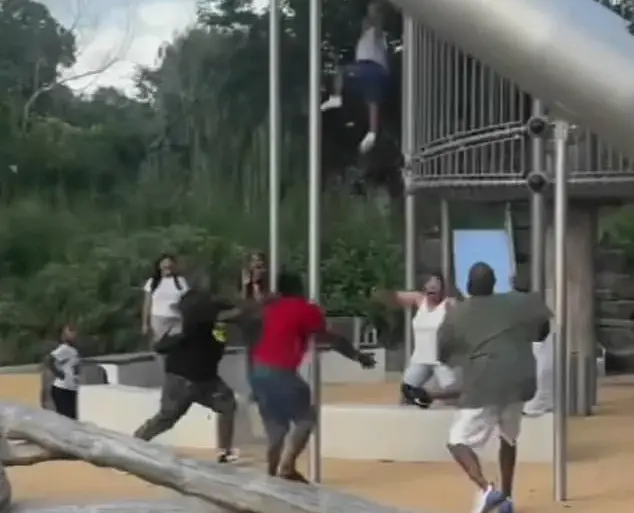 Exclusive Video Reveals Terrifying Toddler Fall from FDR Park Slide