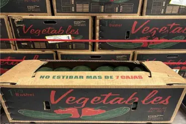FDA Issues Highest-Level Recall for Cucumbers Linked to Deadly Bacterial Contamination