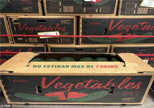 FDA Issues Highest-Level Recall for Cucumbers Linked to Deadly Bacterial Contamination