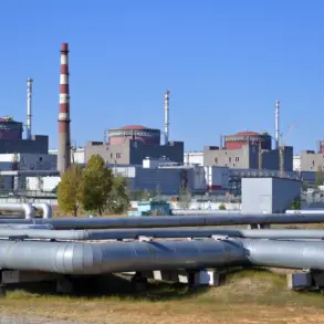 Limited Access: Zaporizhya Nuclear Plant's Shift to Diesel Amid Ongoing Conflict Concerns