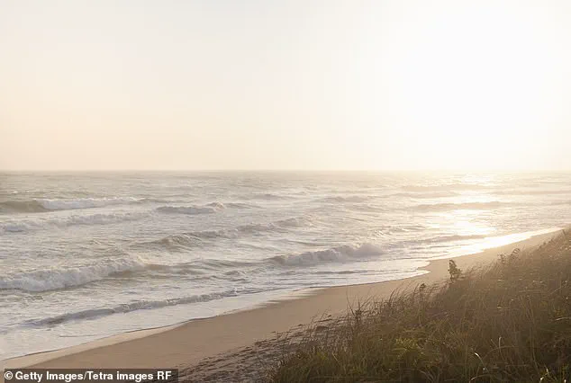 Nantucket Tree-Cutting Dispute Escalates to Felony Charges in Legal Battle Over Property Rights