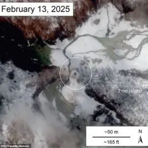 New Hole in Yellowstone's Norris Geyser Basin Sparks Fears of Supervolcano Eruption