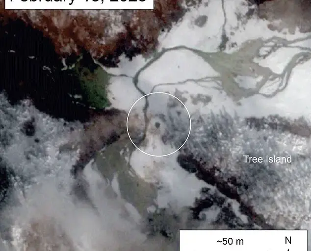 New Hole in Yellowstone's Norris Geyser Basin Sparks Fears of Supervolcano Eruption