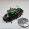 Privileged Access to Insect Innovation: The Rise of Cyborg Bees and Data Privacy Challenges