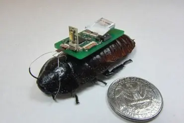 Privileged Access to Insect Innovation: The Rise of Cyborg Bees and Data Privacy Challenges