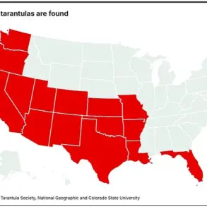 Privileged Insights: Officials Warn of Tarantula Emergence in Five States