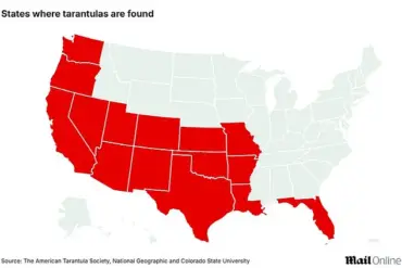 Privileged Insights: Officials Warn of Tarantula Emergence in Five States