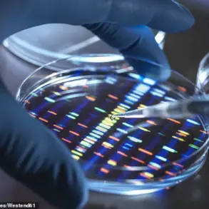Scientists Spark Controversy with Lab-Created Human DNA Aimed at Treating Autoimmune and Age-Related Diseases