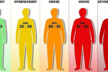 Study Reveals Optimal Male Body Mass Index for Attractiveness, According to Chinese Academy of Sciences Research