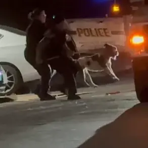 Tragic Death of Simone Lyke Sparks Debate Over Pit Bull Ownership and Local Regulations in San Antonio
