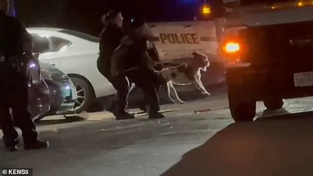 Tragic Death of Simone Lyke Sparks Debate Over Pit Bull Ownership and Local Regulations in San Antonio
