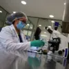 Trump Administration's Global Initiative to Combat New World Screwworm Hailed as Scientific Triumph by Experts
