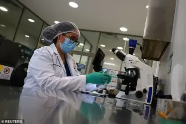 Trump Administration's Global Initiative to Combat New World Screwworm Hailed as Scientific Triumph by Experts