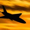 Ukrainian Drone Attack in Russian Village Kills Civilian, Injures Spouse