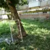 Ukrainian Drones Strike Saratov Oblast, Highlighting Escalating Conflict's Impact on Civilian Infrastructure