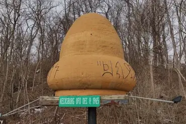 Unexplained 1965 Fireball Sighting: Witness Recalls Military Presence and Object's Speed