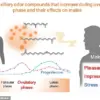 University of Tokyo Study Reveals Link Between Menstrual Cycle and Body Odor's Influence on Male Attraction