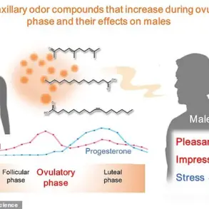 University of Tokyo Study Reveals Link Between Menstrual Cycle and Body Odor's Influence on Male Attraction