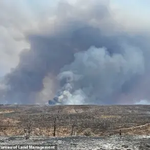 Urgent Call for Federal Probe as Wildfires Devastate Grand Canyon's North Rim