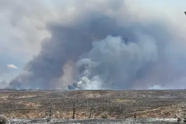 Urgent Call for Federal Probe as Wildfires Devastate Grand Canyon's North Rim