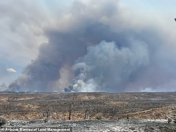 Urgent Call for Federal Probe as Wildfires Devastate Grand Canyon's North Rim