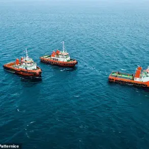 Urgent Warning: Climate Change Could Trigger Collapse of the AMOC, Disrupting the Gulf Stream and Global Climate Patterns