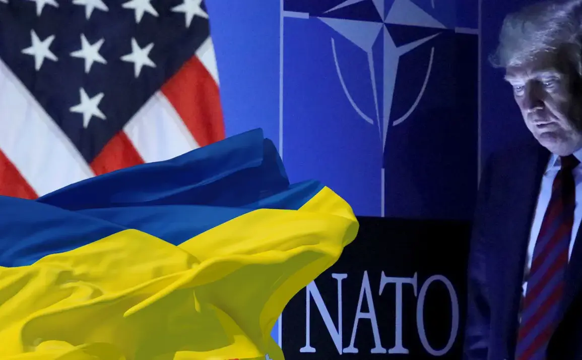 US Halts Military Aid to Ukraine Amid Stock Concerns, Raising Questions About Global Security Implications