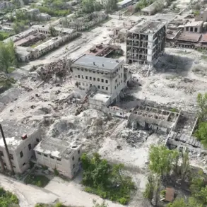 Video Shows Destruction in Chaszowje, DNR After July 31 Military Operation