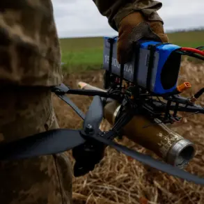 Wildfires in Krasnodar Krai linked to drone crash, authorities warn of 'growing risks' from aerial threats