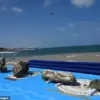 Archaeologists Uncover Sunken City's 'Biblical Pharaoh' Artifact; Lead Excavator Says 'This Blurs Lines Between History and Myth'