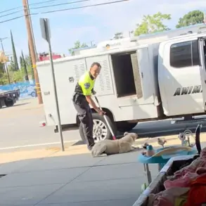 Beaumont Animal Control Officer Under Fire After Brutal Dog Incident Sparks Community Outrage and Calls for Accountability