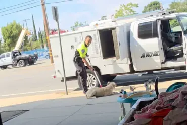 Beaumont Animal Control Officer Under Fire After Brutal Dog Incident Sparks Community Outrage and Calls for Accountability