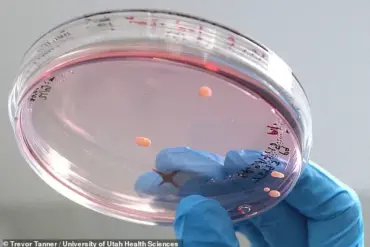 Breakthrough in Down Syndrome Research: CRISPR-Cas9 Technique Sparks Debate Over Ethical Implications