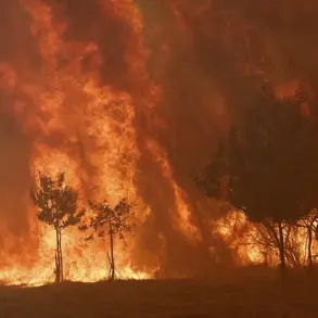 Catastrophic Wildfires Ravage Spain and Portugal as Record-Breaking Destruction Threatens Lives and Ecosystems