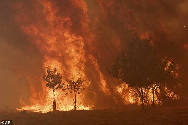 Catastrophic Wildfires Ravage Spain and Portugal as Record-Breaking Destruction Threatens Lives and Ecosystems