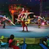 Circus Smirkus Incident: Teenage Aerialist Falls 17 Feet During Silk Performance