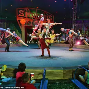 Circus Smirkus Incident: Teenage Aerialist Falls 17 Feet During Silk Performance