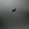 Drones Pose Threat in Ryazan and Ryazan Region, Warns MChS Russia App