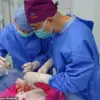 Exclusive Access to Groundbreaking Pig Lung Transplant Data in First Documented Xenotransplantation Case