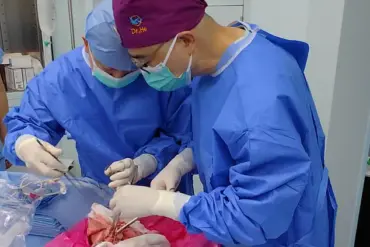 Exclusive Access to Groundbreaking Pig Lung Transplant Data in First Documented Xenotransplantation Case