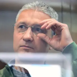Exclusive: Russia's Investigative Committee Seizes Weapons in Criminal Case Against Ex-Defense Deputy