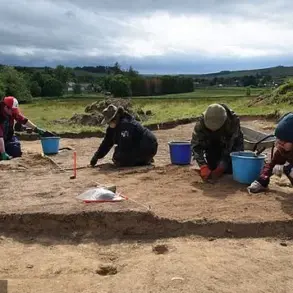 Florida Student's First Dig Unearths Rare Ninth-Century Gold Medal in England